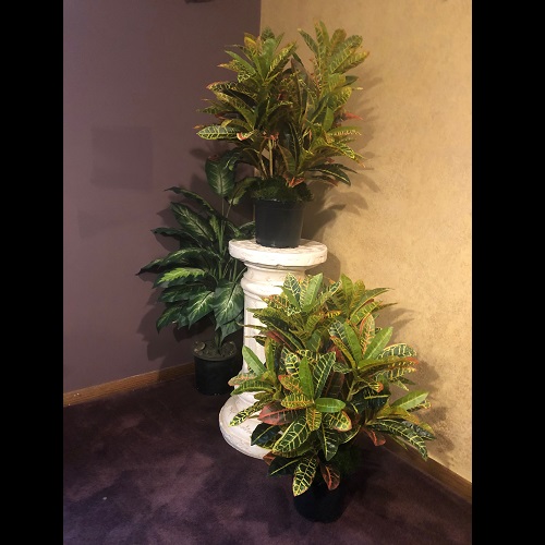 Artificial Floor Plants for Rent - Idea Gallery - Plant Rentals Business Expo MN